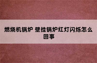 燃烧机锅炉 壁挂锅炉红灯闪烁怎么回事